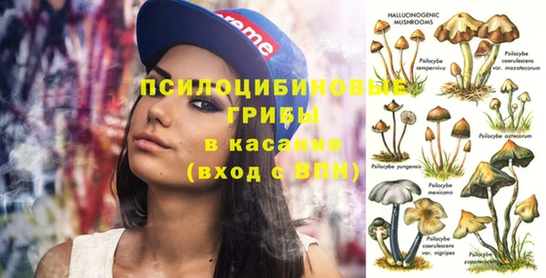 прущие крисы Беломорск